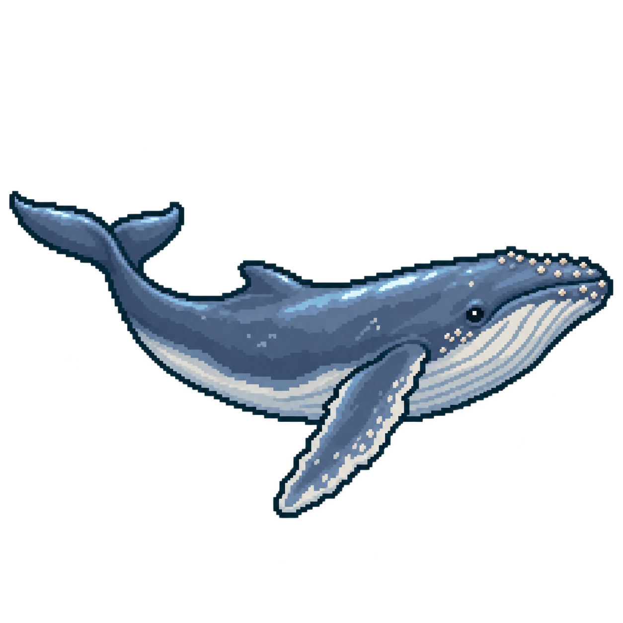 Whale, one of the daytime creatures